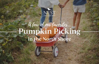 Pumpkin Picking in the North Shore